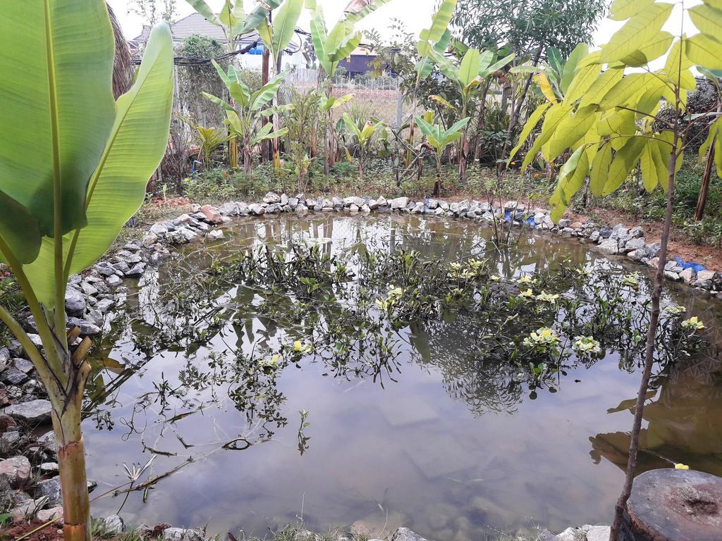 Angkor Rural Boutique Resort Siem Reap Esterno foto