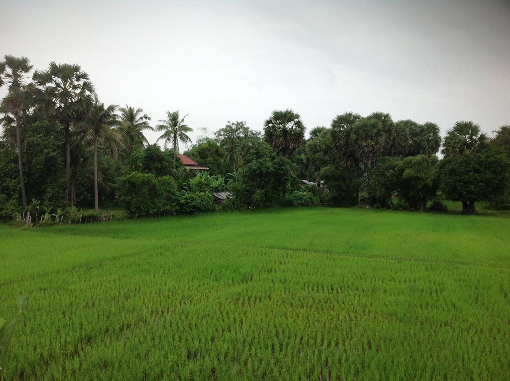 Angkor Rural Boutique Resort Siem Reap Esterno foto