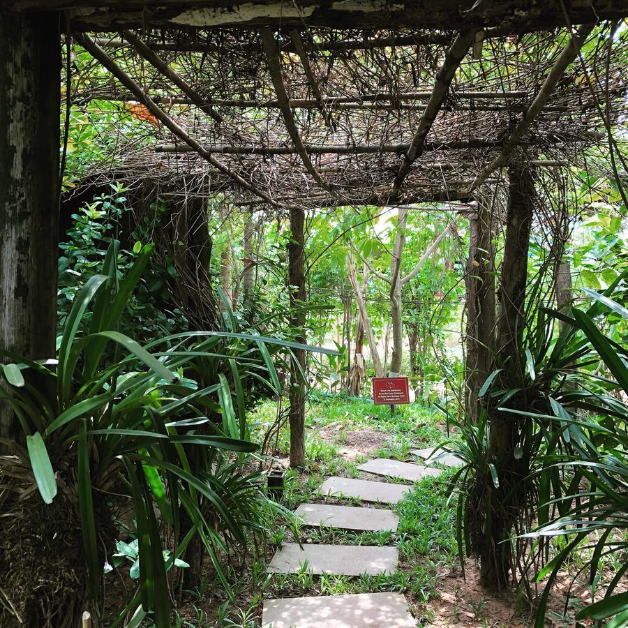 Angkor Rural Boutique Resort Siem Reap Esterno foto