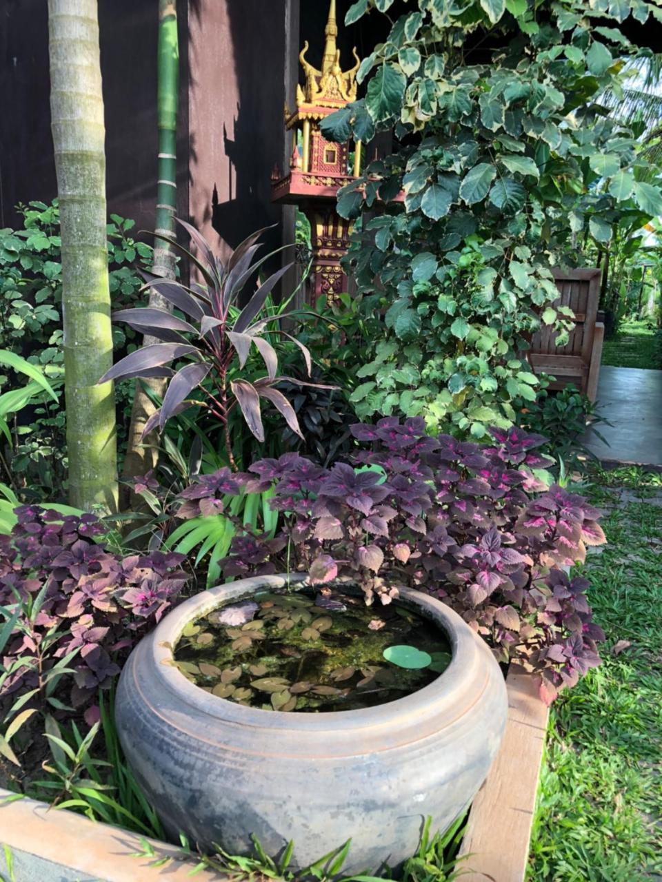 Angkor Rural Boutique Resort Siem Reap Esterno foto